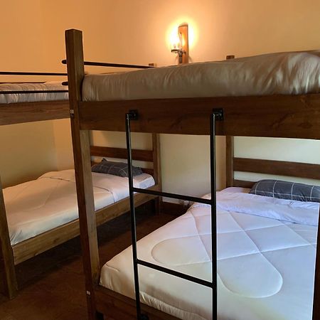 Mad Vervet Nairobi Backpackers Hostel Kültér fotó