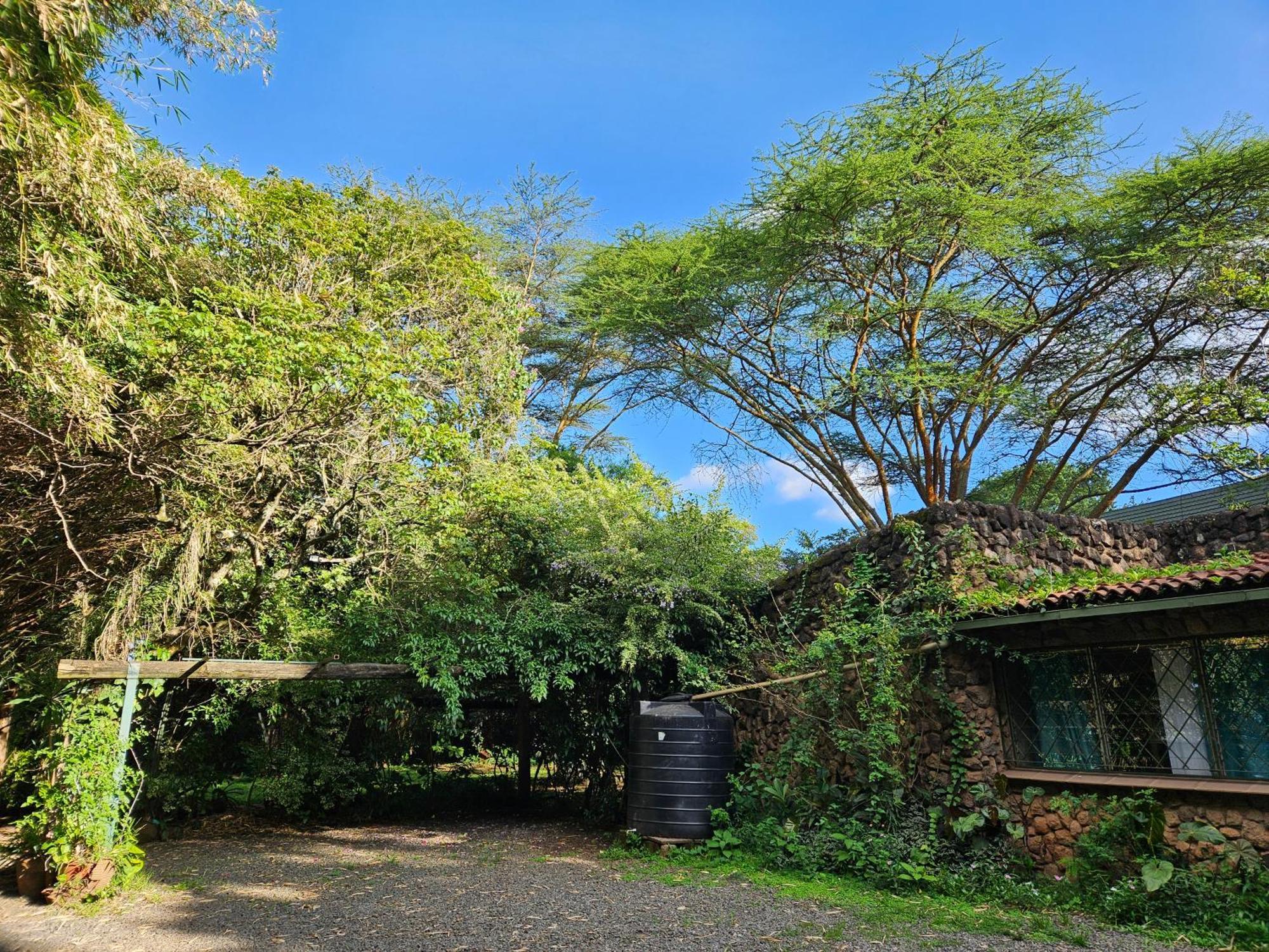 Mad Vervet Nairobi Backpackers Hostel Kültér fotó