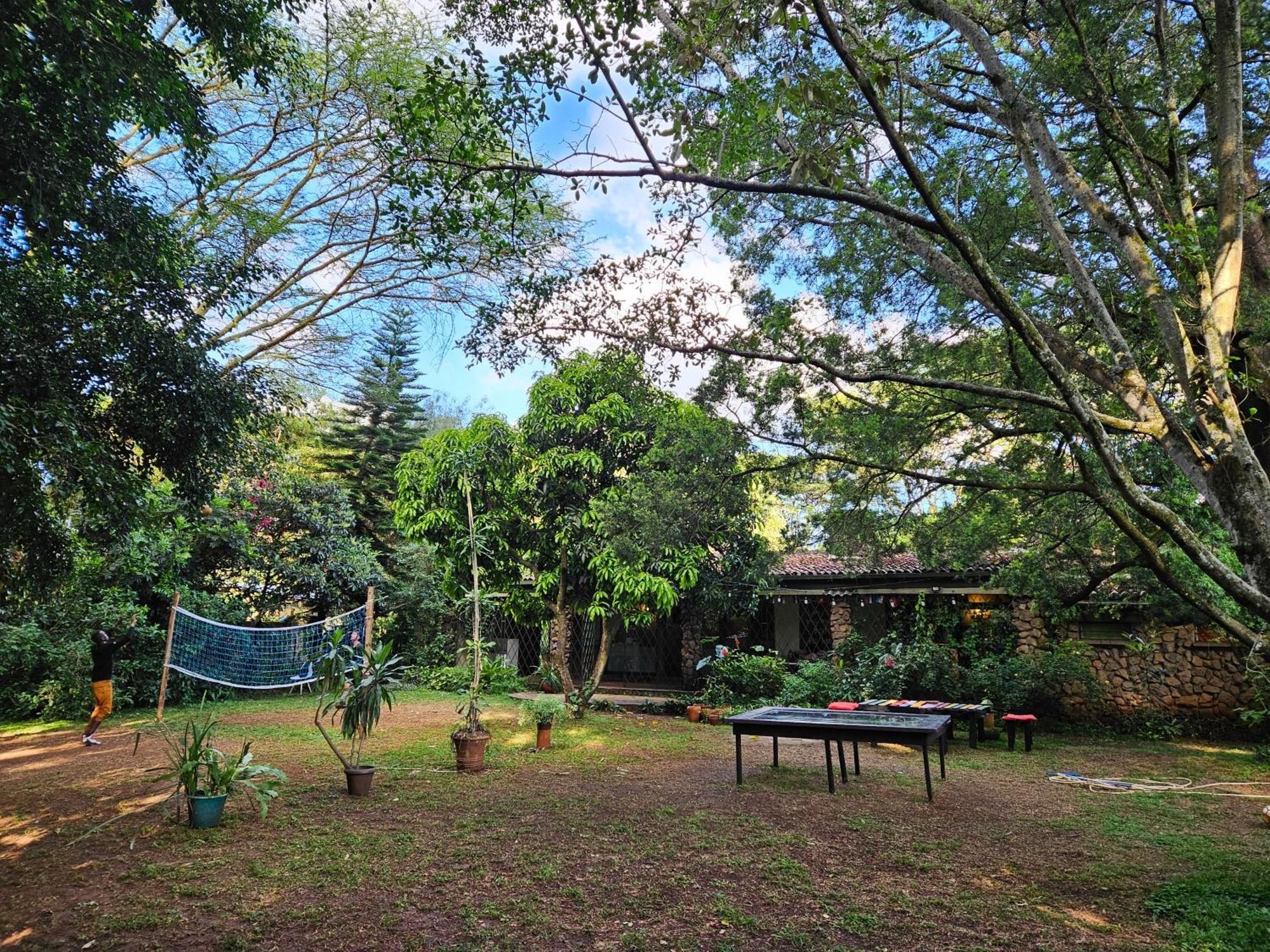 Mad Vervet Nairobi Backpackers Hostel Kültér fotó